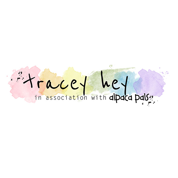 Tracey Hey at Create and Craft