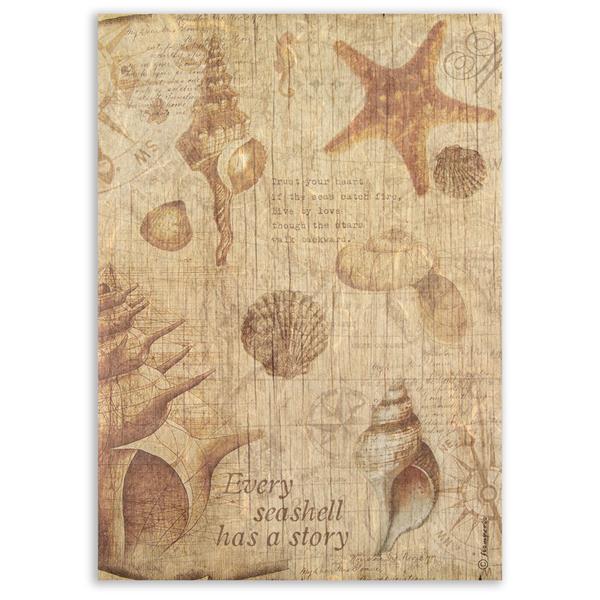 Stamperia Sea Land A4 Rice Paper - Shells - 145461