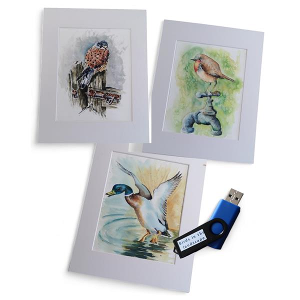 Studio 5 3 x Watercolour Lessons USB - Birds in the Landscape - 294574