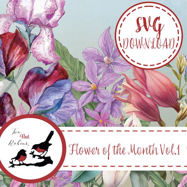Two Red Robins Flower of the Month Vol 1 SVG Download Bundle - 423173