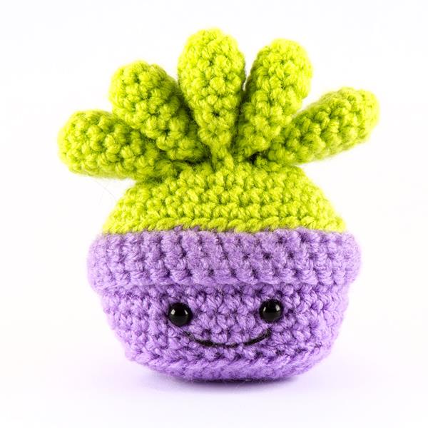CroCreate Amigurumi Succulent Crochet Kit - Purple Pot 'Avonia' D - 425335
