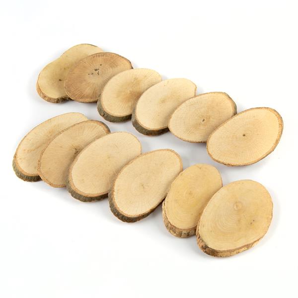 Craft Master Wooden Disc Pack - 12 Pieces - 523041