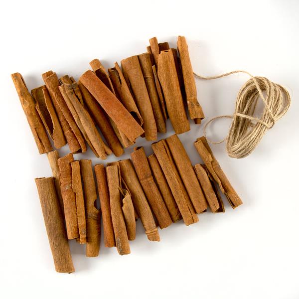 Dawn Bibby Cinnamon Sticks and Jute - 544805