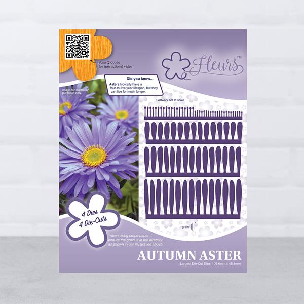 Fleurs Autumn Aster Die Set - 4 Dies - 580511