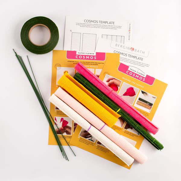 BerginandBath + Paper Flower Kit – Cosmos – Hand make your own  crepe paper flowers with this kit