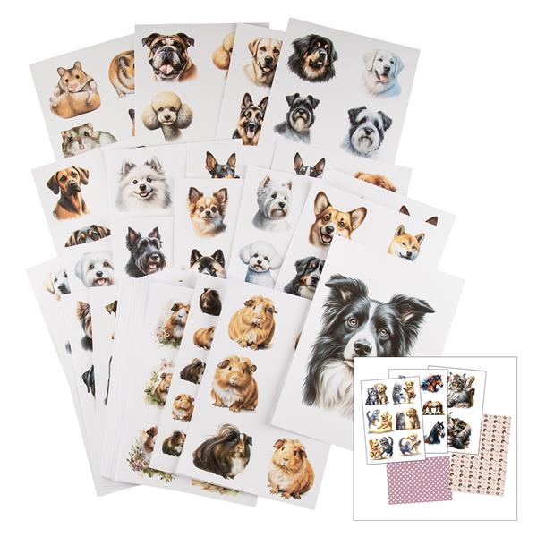 Emlems 50 x A4 Sheets Pet Portrait Papers - 160gsm plus 5 FREE Bo - 693623