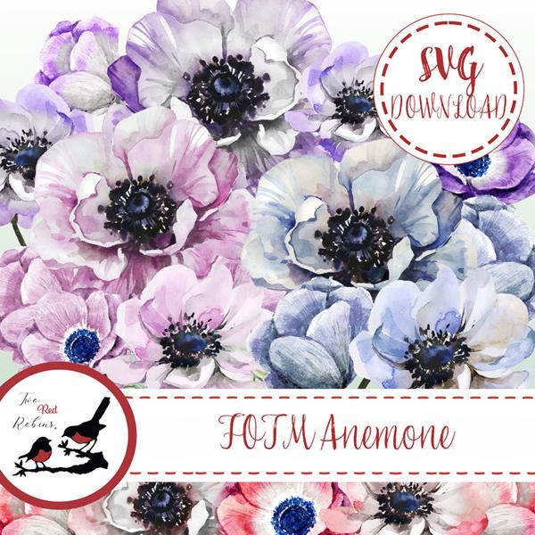 Two Red Robins Flower of the Month Anemone SVG Download Pack - 940102